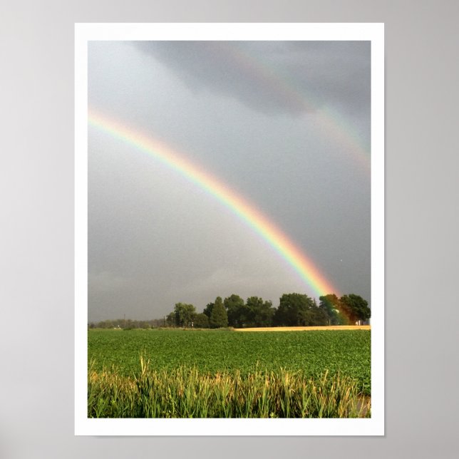 Foto Poster (Vorne)