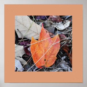 Foto-Poster für Herbstverlässe Poster