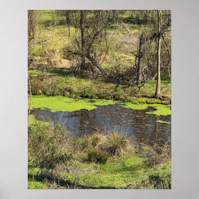 Foto-Poster Poster (Vorne)