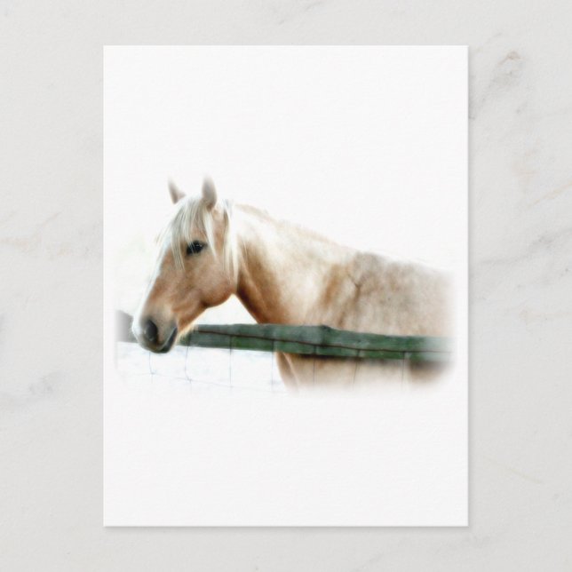 Foto Postkarte (Vorderseite)