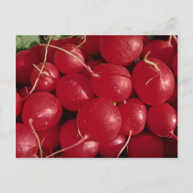 Foto Postkarte (Vorderseite)