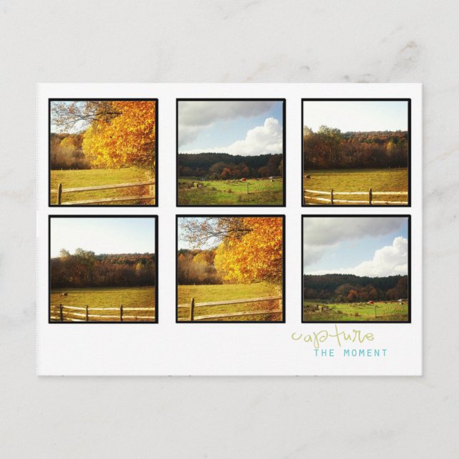 Foto-Postkarten Postkarte (Vorderseite)