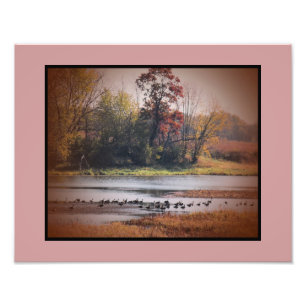 Foto Print 11x14 Kanada Gänse im Herbst