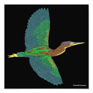Foto Print - Grüner Heron (schwarz)