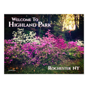 Foto Print - Willkommen im Highland Park Rochester