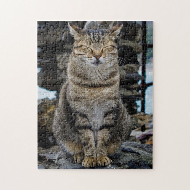 Foto-Puzzlespiel - Katze in Cinque Terre, Italien (Vertikal)