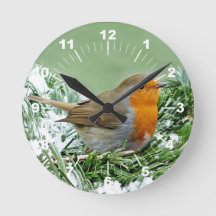 Foto Robin Pine Snow