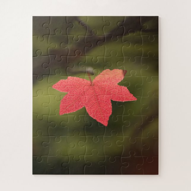 Foto "Roter Herbst" (Vertikal)