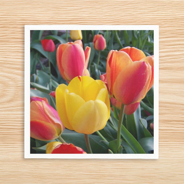 Foto Serviette (Photo Napkins)
