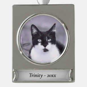 Foto Silver Name and Year hinzufügen Banner-Ornament Silber