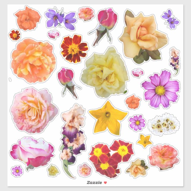 Foto-Sortiment Farbige Blume - benutzerdefinierte  Aufkleber (Blatt)