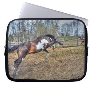 Foto "Spirale Pinto Stallion Equine Action" Laptopschutzhülle