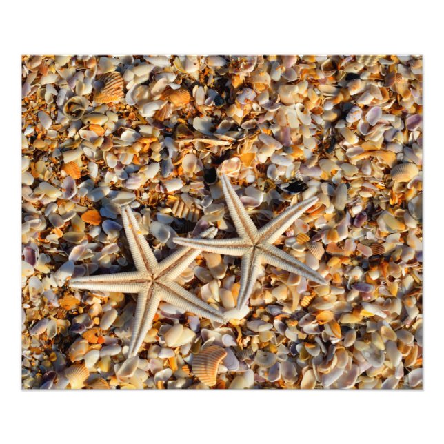 Foto "Starfish" und "Seashells" (Vorne)