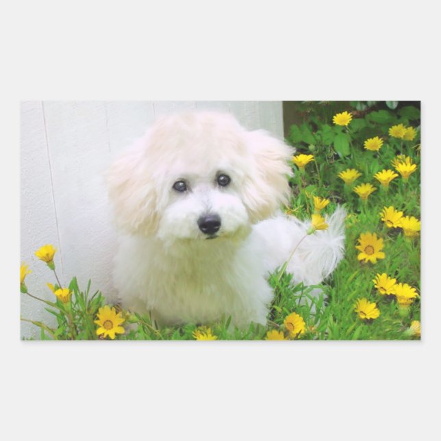 Foto Stickers (Vorderseite)