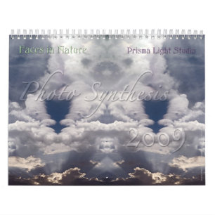 Foto-Synthese-Kalender 2009 Kalender