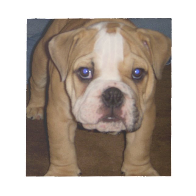 Foto Te, Vorlage Notepad Notizblock (Vorderseite)