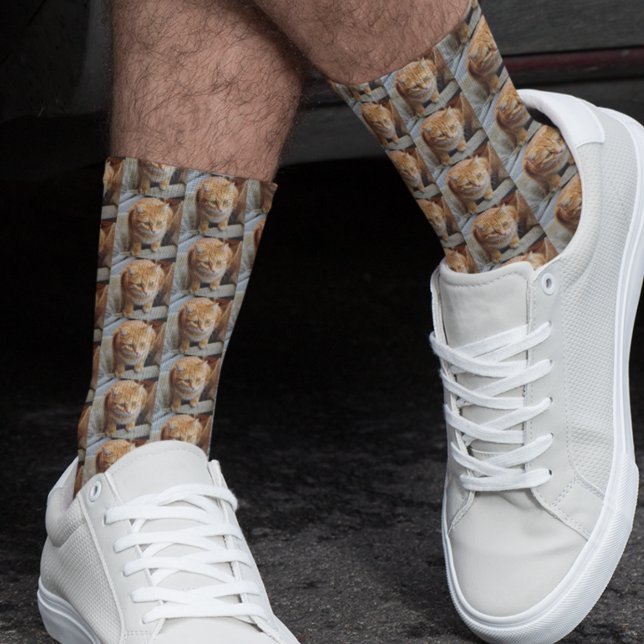 Foto Template Pet Cat Dog Familiengeschenk Socken (Von Creator hochgeladen)