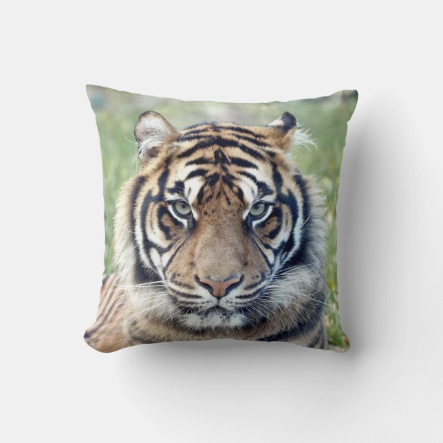 Foto Tiger , Katze , Tiere . Dekokissen (Vorderseite)