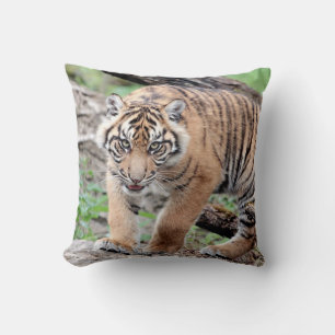 Foto Tiger , Katze , Tiere . Kissen werfen