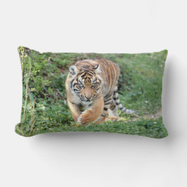 Foto Tiger Katze , Tiere . Kissen werfen