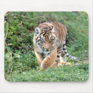 Foto Tigerkatzen Mousepad