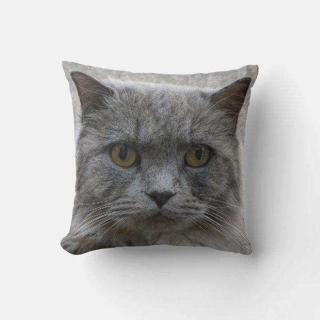Foto traurige erwachsene graue Katze, seltene Rass Kissen (Vorderseite)