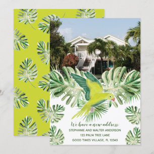 Foto Tropical Parrot neue Anschrift Ankündigung