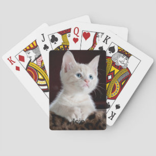 Foto und Name des benutzerdefinierten Katzen Spielkarten