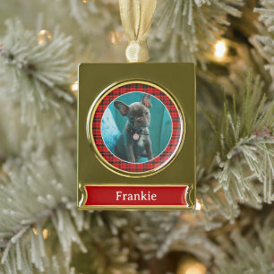 Foto und Name des Tieres mit roten und grünen Kari Banner-Ornament Gold