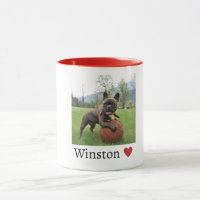 Foto und Name Französischer Bulldog Hund Lover
