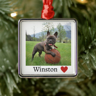 Foto und Name Französischer Bulldog Hund Ornament Aus Metall