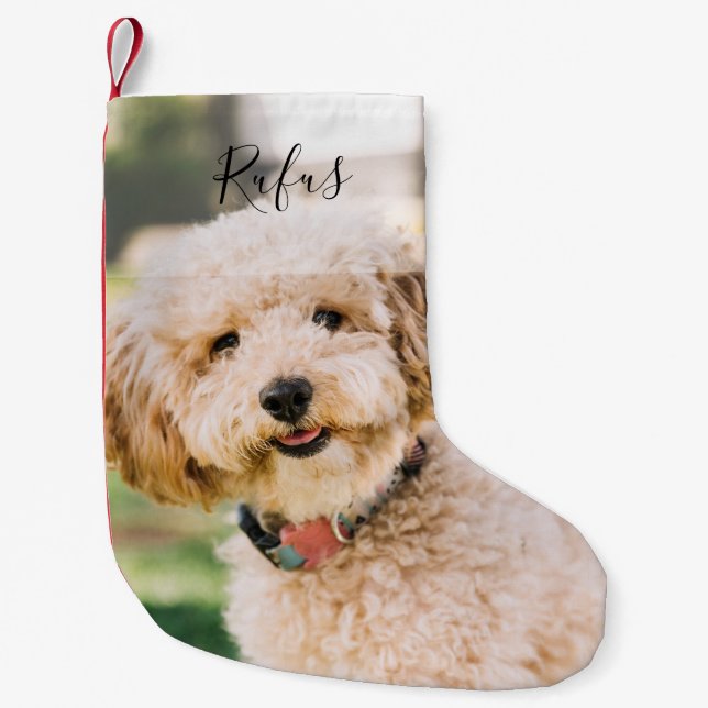 Foto und Name Haustier Hunde Urlaub Kleiner Weihnachtsstrumpf (Vorderseite)
