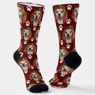 Foto- und Paw-Druckköpfe oder Cat Maroon Custom Socken