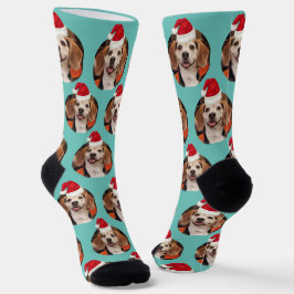 Foto und Weihnachtsmannmützen für Haustiere auf de Socken