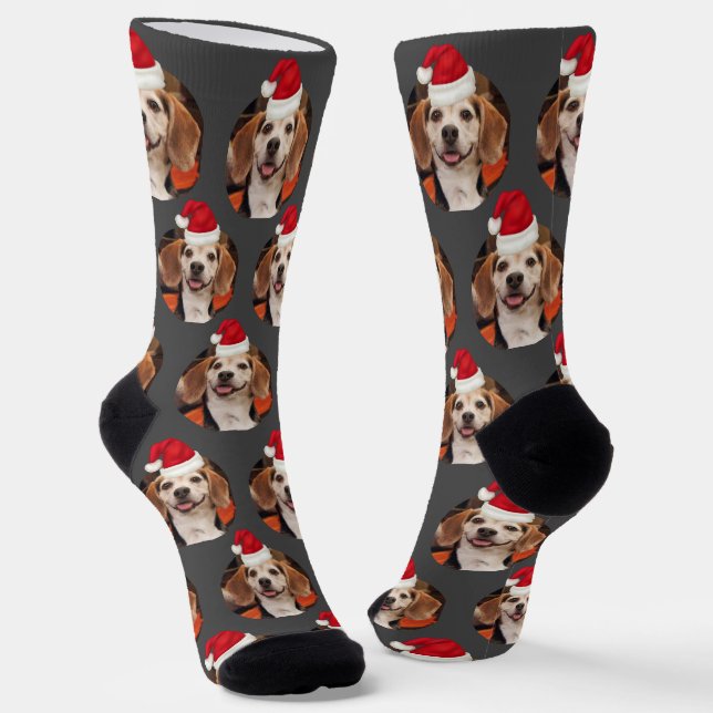 Foto und Weihnachtsmannmützen für Haustiere auf Gr Socken (Gewinkelt)
