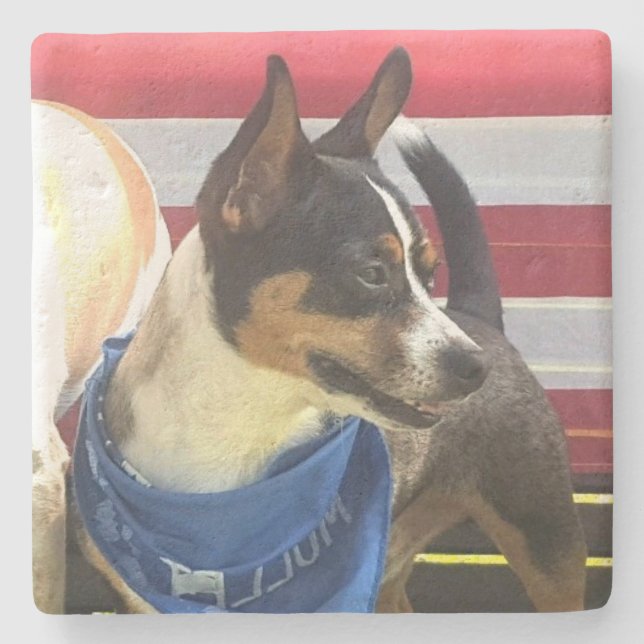 Foto-Untersetzer Steinuntersetzer (Vorderseite)