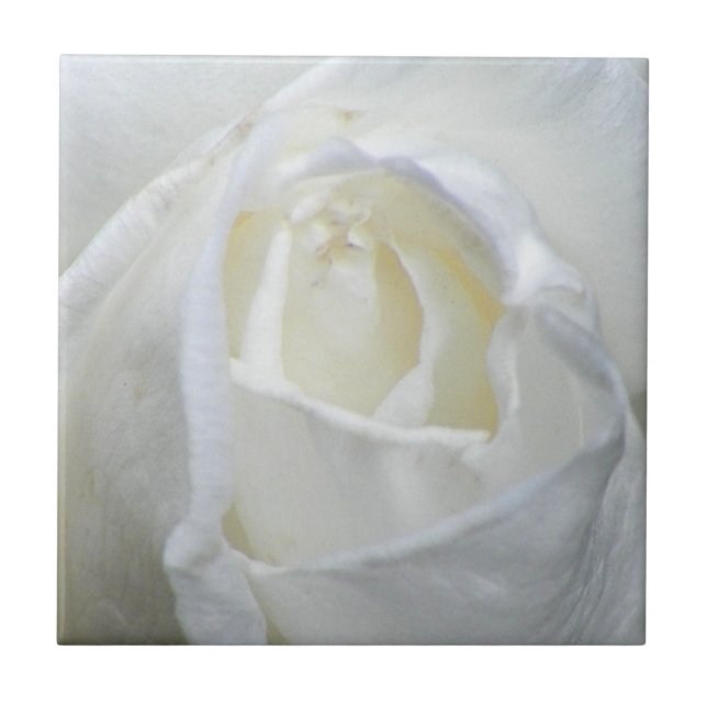 Foto Valentine Fliese (Vorderseite)