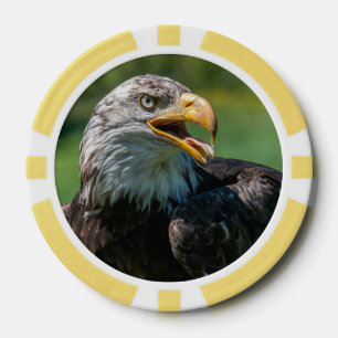 Foto von Adler Pokerchips