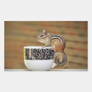 Foto von Chipmunk mit Latte Coffee Cup Rechteckiger Aufkleber