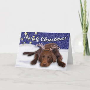 Foto von Chocolate Lab mit Geweih und individuelle Feiertagskarte