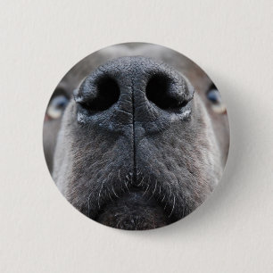 Foto von Deutsche Dogge Button