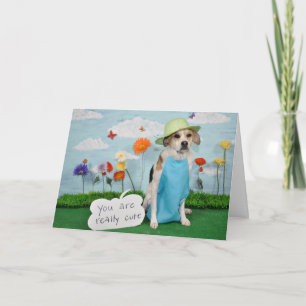 Foto von dog in clothes, cute theme for anyone. karte