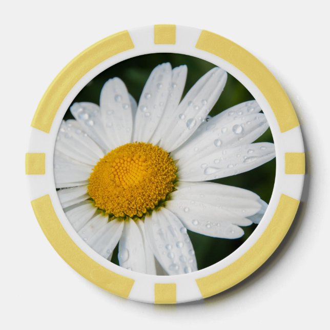 Foto von einem Margeritten, Wassertropfen, grün Pokerchips (Vorderseite)