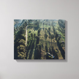 Foto von grünen Blattbäumen Leinwanddruck