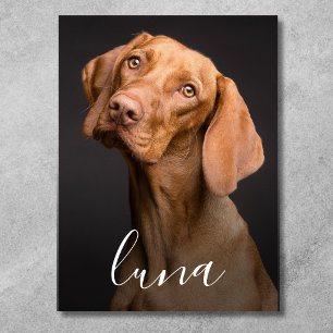 Foto von Hund mit personalisiertem Namen  Poster