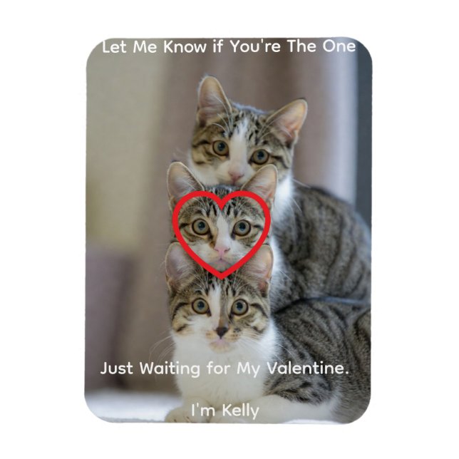 Foto von Katzen Flexibler Fotomagnet Magnet (Vertikal)