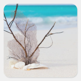 Foto von Muscheln am Strand Quadratischer Aufkleber