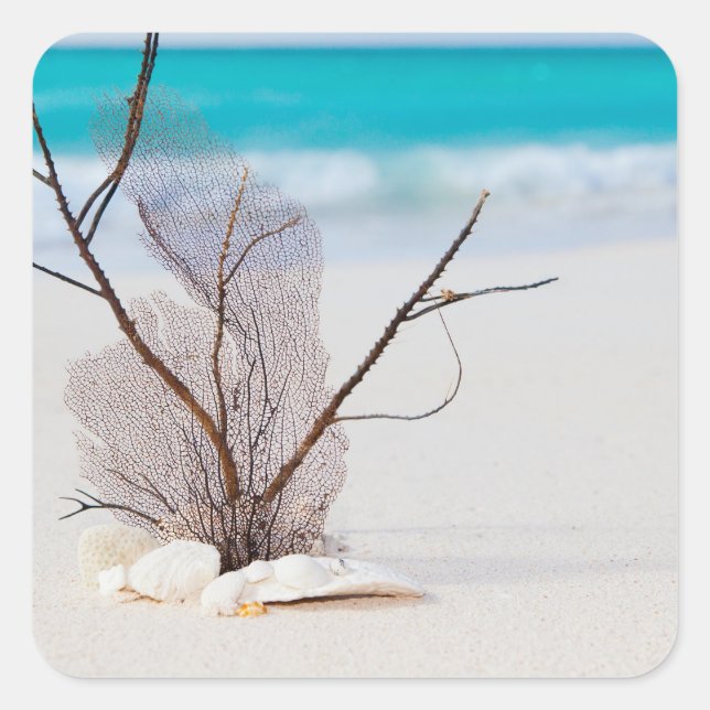 Foto von Muscheln am Strand Quadratischer Aufkleber (Vorderseite)
