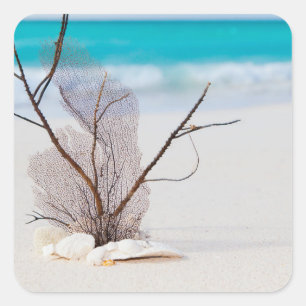 Foto von Muscheln an einem Strand Quadratischer Aufkleber