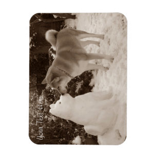 Foto von niedlicher akita kissender Schneehund Magnet